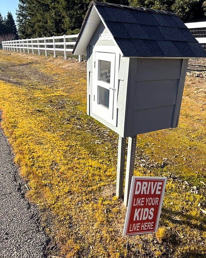 An orange wooden little library box beside a tree