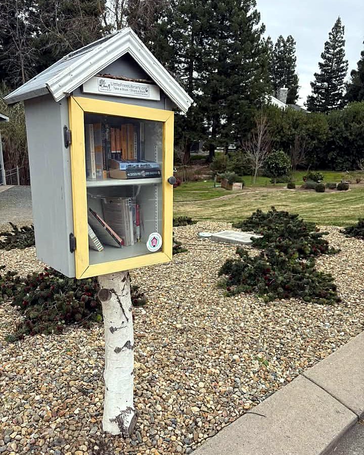 A white little library box labeled LIBRARY