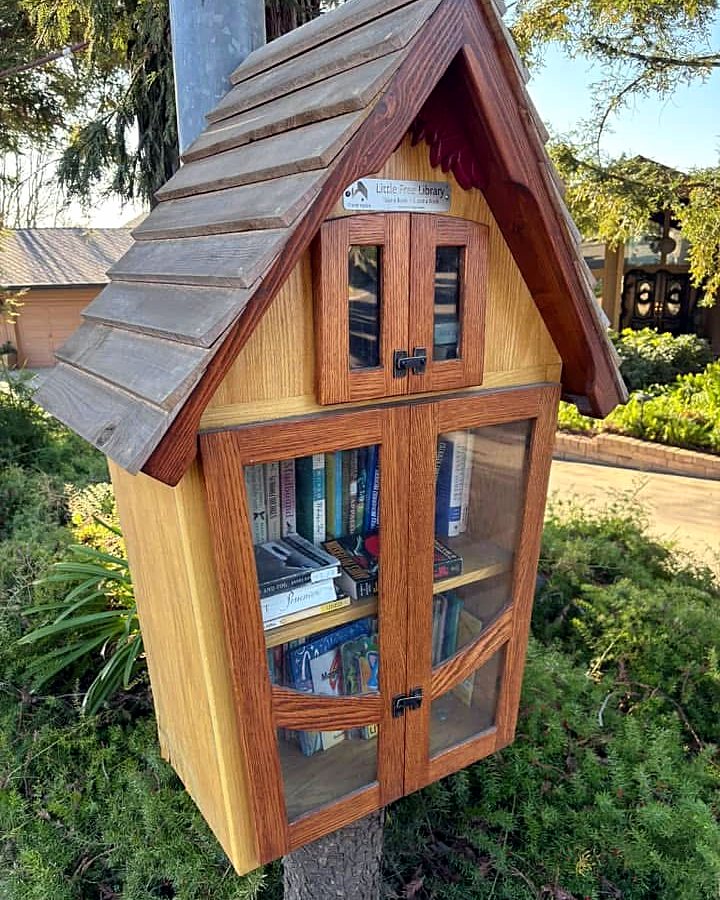 A grey-roofed little library box along a rural road