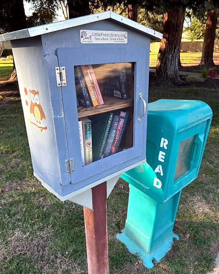 A small wooden cabin-style little library box