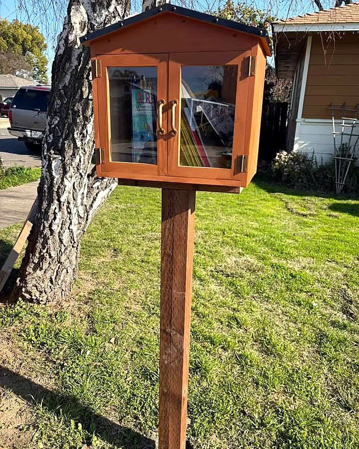 A modern black pedestal little library box